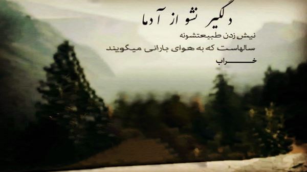  عربی نانسی یا تب تب نسخه اصلی